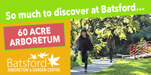 Days out in the Cotswolds - Batsford Arboretum