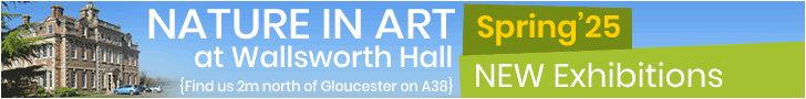Things to do in Gloucester | Nature in Art