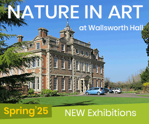 Things to do in Gloucester | Nature in Art