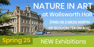 Things to do in Gloucester | Nature in Art