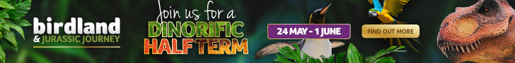 What's on at Birdland May Half Term Holidays in Bourton-on-the-Water