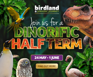 What's on at Birdland May Half Term Holidays in Bourton-on-the-Water