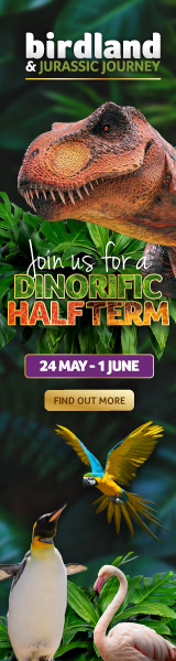What's on at Birdland May Half Term Holidays in Bourton-on-the-Water