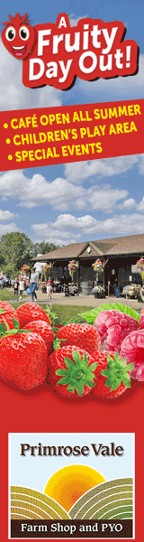 PYO Strawberries Gloucester | Primrose Vale