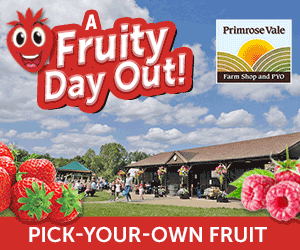 PYO Strawberries Gloucester | Primrose Vale