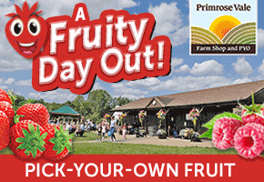 PYO Strawberries Gloucester | Primrose Vale