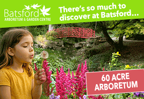 Days out in the Cotswolds | Batsford Arboretum