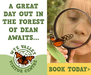 Days out in the Forest of Dean| Wye Valley Visitor Centre