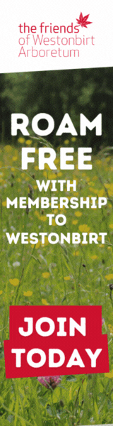 Things to do this summer holidays in the Cotswolds | Westonbirt Arboretum