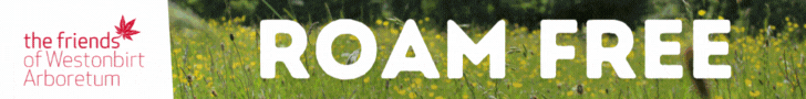 Things to do this summer holidays in the Cotswolds | Westonbirt Arboretum