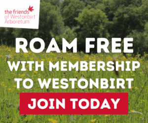 Things to do this summer holidays in the Cotswolds | Westonbirt Arboretum