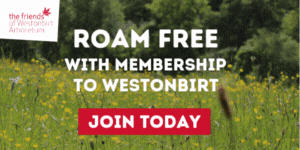 Things to do this summer holidays in the Cotswolds | Westonbirt Arboretum