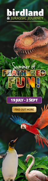 Things to do this summer holidays in Gloucestershire | Birdland