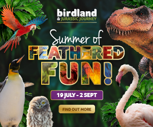 Things to do this summer holidays in Gloucestershire | Birdland