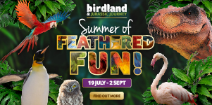 Things to do this summer holidays in Gloucestershire | Birdland