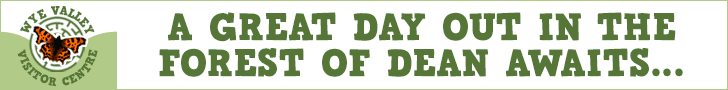 Days out in the Forest of Dean | Wye Valley Visitor Centre