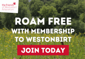 Things to do this summer holidays in the Cotswolds | Westonbirt Arboretum