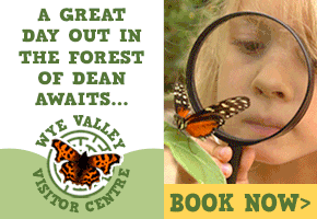 Days out in the Forest of Dean | Wye Valley Visitor Centre