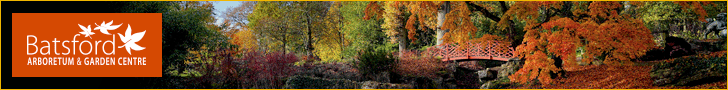 Autumn in the Cotswolds | Batsford Arboretum
