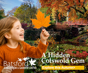 Autumn in the Cotswolds | Batsford Arboretum