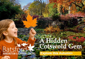Autumn in the Cotswolds | Batsford Arboretum
