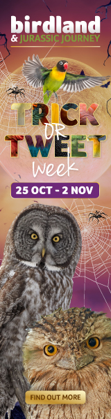 Things to do this October Half Term in Gloucestershire | Birdland