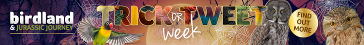 Things to do this October Half Term in Gloucestershire | Birdland