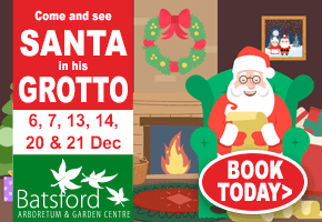 Christmas Events in the Cotswolds | Santas Grotto Batsford Arboretum