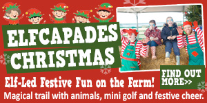 Things to do this Christmas in Gloucester | Over Farm Christmas Markets