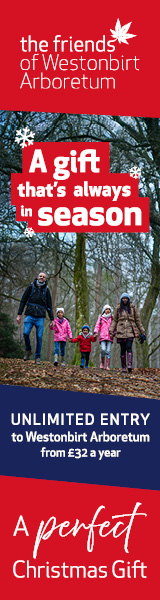 Christmas in the Cotswolds | Westonbirt Arboretum Annual Pass