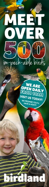 Days out in the Cotswolds | Birdland