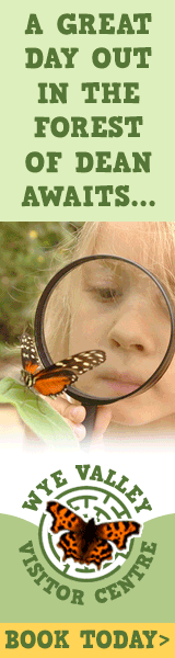 Days out in the Forest of Dean | Wye Valley Visitor Centre