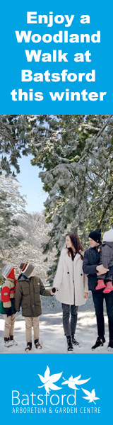 Winter stroll in the Cotswolds | Batsford Arboretum