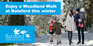 Winter stroll in the Cotswolds | Batsford Arboretum