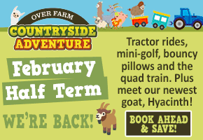 What's on in Gloucester February Half Term 2026 | Over Farm Countryside Adventure