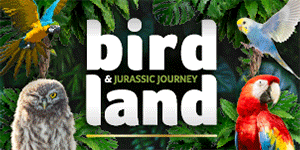 Thinsg to do in Gloucestershire | Birdland in Bourton-on-the-Water