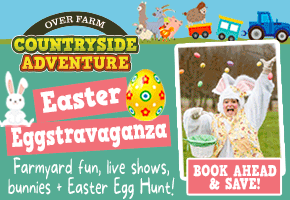 Easter events Gloucestershire | Whats on this Easter at Over Farm