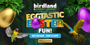 Easter things to do in the Cotswolds | Birdland in Bourton-on-the-Water