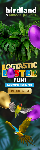 Easter things to do in the Cotswolds | Birdland in Bourton-on-the-Water