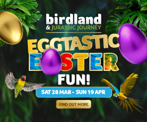 Easter things to do in the Cotswolds | Birdland in Bourton-on-the-Water