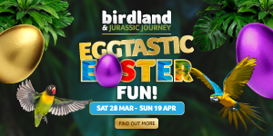 Easter things to do in the Cotswolds | Birdland in Bourton-on-the-Water