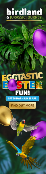 Things to do in the Cotswolds this Easter | Birdland Easter Egg Hunt