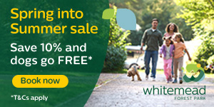 Summer holidays in the Forest of Dean | Whitemead Forest Park