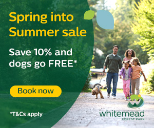 Summer holidays in the Forest of Dean | Whitemead Forest Park