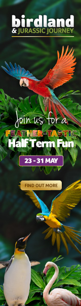 Days out in the Cotswolds | Birdland