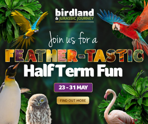 Days out in the Cotswolds | Birdland