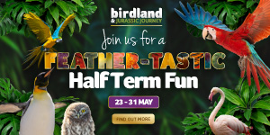 Days out in the Cotswolds | Birdland