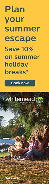 Summer holidays in the Forest of Dean | Whitemead Forest Park