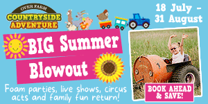 What's on Gloucester events this summer
