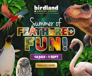 Days out in the Cotswolds | Birdland